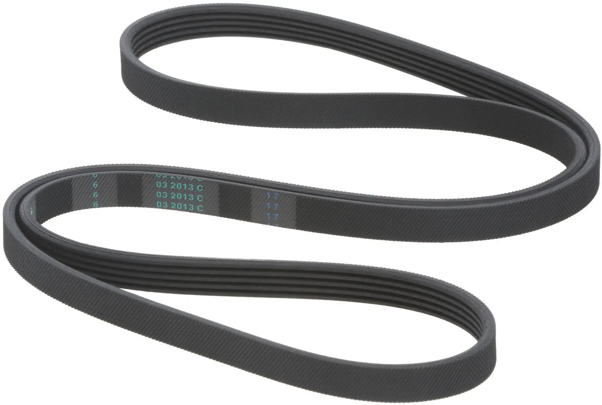 Drive Belt 11003842