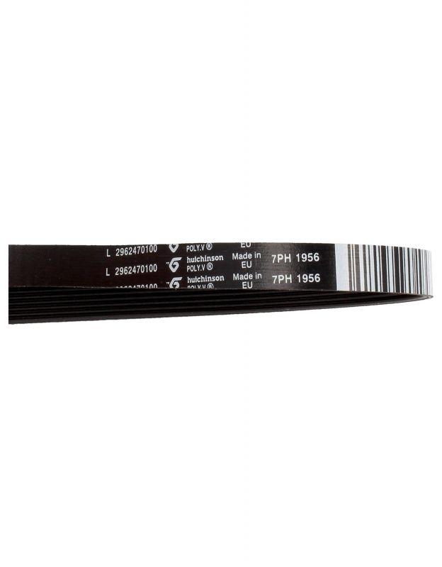 Elastic Poly-V Belt 2962470100